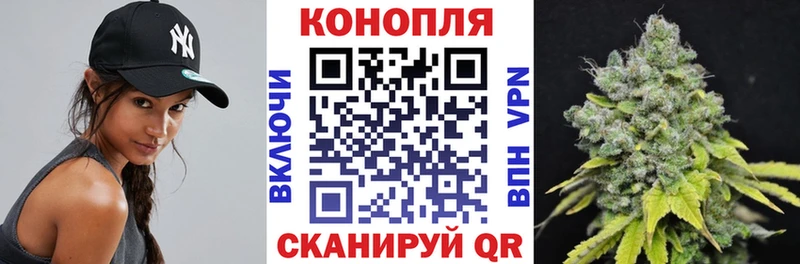 Где найти наркотики Судогда КОКАИН  Alpha-PVP  kraken сайт  Меф  ГАШ 