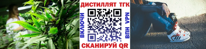 Дистиллят ТГК THC oil  закладка  OMG как зайти  Судогда 